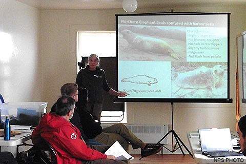 A woman points to an image of a seal pup projected on a screen while talking to a seated audience.