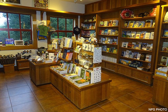 Books and other merchandise displayed on wooden shelving.