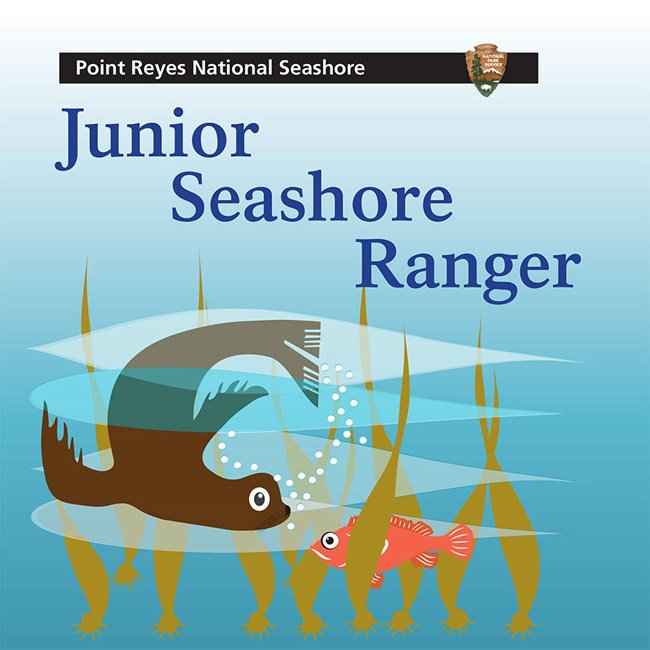 The cover of the Point Reyes National Seashore Junior Seashore Ranger booklet, featuring a cartoon of a sea lion and a rockfish swimming among kelp.