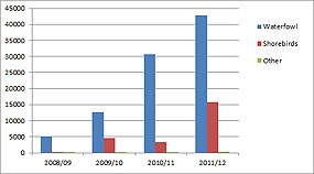 Figure 2 - Total numbers of waterbirds, shorebirds, and other birds in each post-restoration year. Source: Avocet Research Associates. (Click on this image to download a 10 KB PDF of this chart.)