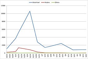 Figure 3. Waterfowl and wader numbers in Year 3, with strong declines in January 2011. Source: ARA. Click on this image to view a full size version of this graph (118 KB PDF).