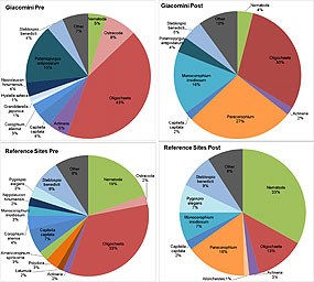 Figure 5. Species composition for Giacomini Wetlands and Reference Areas pre and post restoration. The most abundant species (in most cases species representing more than 5% of total assemblage) are shown here. Please note that these taxa are not all the same taxonomic level. Taxa are color coded by taxonomic level: phylum = green, class = red, order = purple, genus = orange, species = blue. Click on this image to view a full size version of this graph (144 KB PDF).