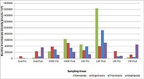 Figure 7. Density comparison of Nematoda (phylum), Oligochaeta (subclass), Polychaeta (class), and Amphipoda (class) between Study Areas. Click on this image to view a full size version of this graph (27 KB PDF).