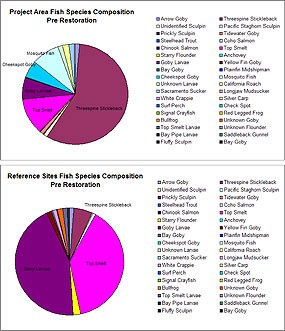 Figure 9. Approximate proportion of total catch for different fish and macroinvertebrate species in the Project Area and Reference Area prior to restoration. Click on this image to view a full size version of this graph (79 KB PDF).