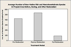Figure 10. Average numbers of non-native fish and macroinvertebrate species per sampling period in Project Area before, during, and after full restoration. Click on this image to view a full size version of this graph (107 KB PDF).