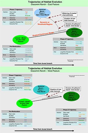 Figure 01 - Trajectories of Habitat Evolution: Giacomini Ranch - East & West Pastures. Click on this image to download full size version of this chart. (20 KB PDF)