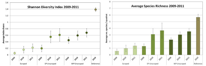 Giacomini Wetland Restoration Project - Restoration: Vegetation Monitoring: Vegetation Assembly: Graph: Figure A4. Diversity of the different areas of the Restoration Project as compared with the Reference site. (Click on this image to download 154 KB PDF of this chart.)