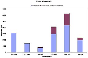 Figure 1 - Changes in winter waterbird numberss and species distributions between Year One and Year Two (ARA 2010). Click here to download chart as a 48 KB PDF.