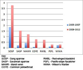 A graph showing the relative changes in average densities between pre-restoration and post-restoration for the seven most common wetland-dependent passerines found in the Giacomini Wetlands.