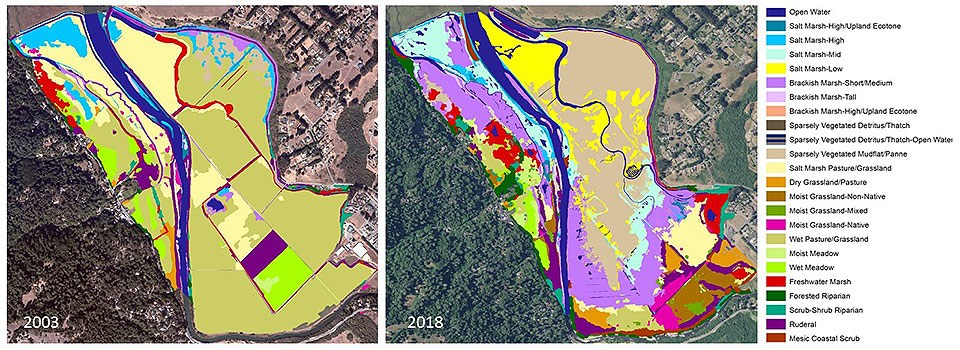 Two vegetation maps with many different colors depicting how the restored area's vegetation has changed from mostly wet pasture in 2003 to a more diverse wetland in 2018. A key to the vegetation types is on the right.