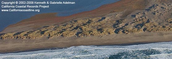 Coastal dunes west of Abbotts Lagoon. Detail of photo taken in November 2002 by the California Coastal Records Project. © 2002-2008 Kenneth & Gabrielle Adelman