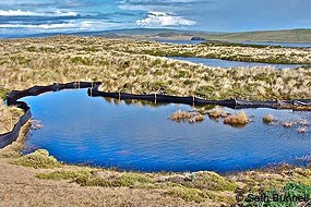 Silt fence adjacent to seasonally ponded wetland.