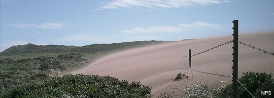 Windblown sand burying barbed wire fence.