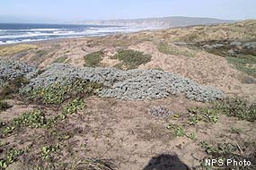 buy Climate and Land Degradation (Environmental Science and Engineering Environmental Science) (Environmental Science and Engineering