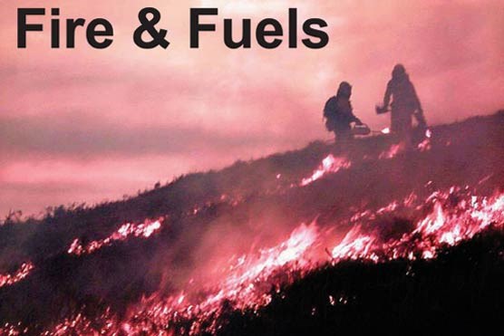 Fire & Fuels Newsletter photo Fire & Fuels Newsletter photo