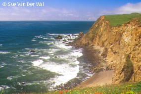 A photo of tan coastal bluffs rising on the right with the ocean extending to the left and into the distance.