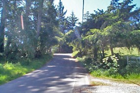 Emergency access and fuel removal along Drakes Summit
