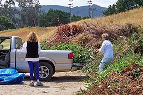 Olema Chipping Program