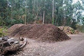 Pile of compost. Part of the Bolinas Resource Recovery Project.