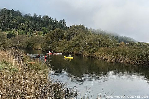 Several kayakers paddling along a vegetation-lined creek.