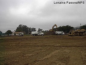 Hauling trucks lining up to receive soils for hauling to the quarries during Phase I