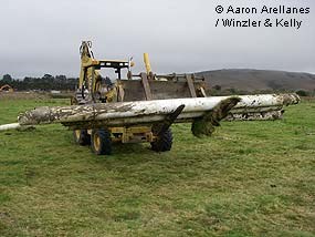 Giacomini Wetland Restoration Project: Removal of irrigation pipelines used to irrigate pastures in the summer