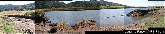 Breach in levee caused by high tides on the evening of July 2, 2008.