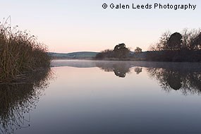 Mist rising from Lagunitas Creek © Galen Leeds Photography
