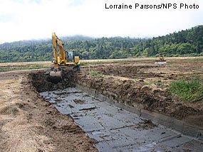 New tidal channel being created in East Pasture.