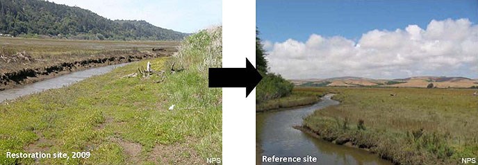 Figure A8. Two pictures comparing the Restoration Project Area in 2009 (on the left) and the desired future condition as represented by the Reference Site (on the right).