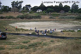 Sierra Club members pulling weeds.