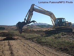 Salvaged pickleweed and marsh soils being placed on top of filled borrow ditch.