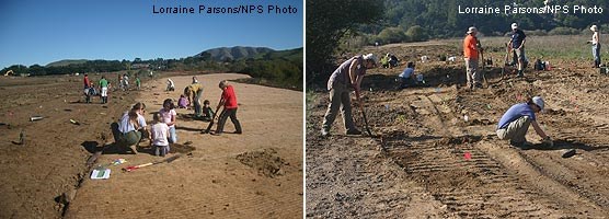 West Marin Elementary school students plant along Lagunitas Creek, including planting buckeyes that they grew from seed (right) and employees of LSA Consultants and WRA donate their valuable free time to come out and help plant on the weekend (right).