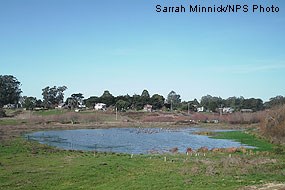A shallow wetland pool of water surrounded by grass with buildings in the far background.