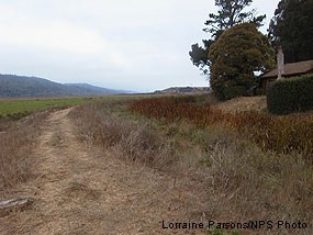 Leveed section of Tomasini Creek near the Giacomini Hunt Lodge.