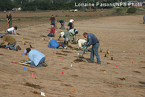 Giacomini Wetland Restoration Project: Volunteers from the community enjoy a beautiful November day planting along Lagunitas Creek.