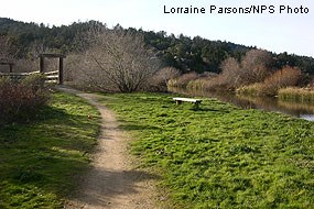 White House Pool park near Lagunitas Creek.