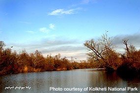 Paliastomi Lake in Kolkheti National Park Paliastomi Lake in Kolkheti National Park