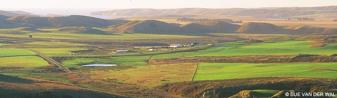 McClures Ranch with Chimney Rock in the background. © Sue Van Der Wal.