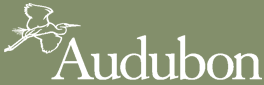 The word "Audubon" and the silhouette of a flying heron in a rectangle with a green background.
