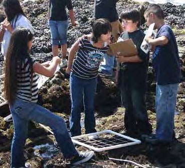 Four students with clipboards gather and talk around a square transect in an rocky intertidal zone.