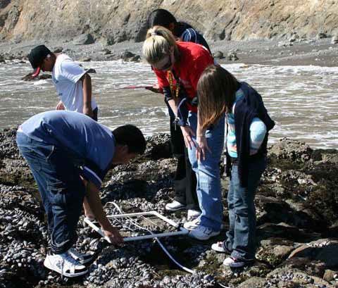 Students gather and talk around a square transect in an rocky intertidal zone.