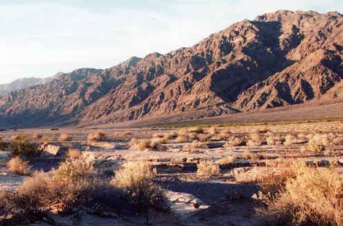 Redish-brown eroded mountains rise to the right of an aluvial fan covered by desert vegetation.