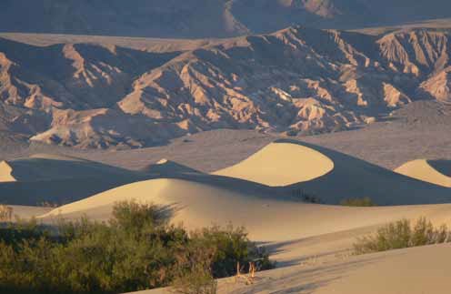 The sunset casts long shadows across a sand dune field with eroded badlands in the background.