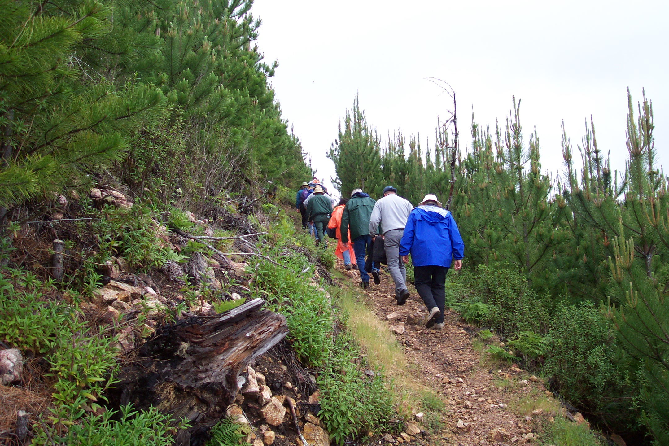 pic-fire-education-guided-walk-030503-2160x1440.jpg?maxwidth\u003d1300\u0026maxheight\u003d1300\u0026autorotate\u003dfalse