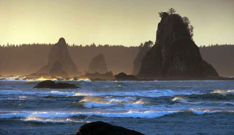 Sea stacks rise above ocean waves washing ashore. A wooded ridge rises in the distance.