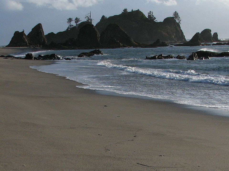 Toleak Point in Olympic National Park. Waves wash up on a sandy ocean beach. Rocky headlands rise above the far end of the beach.