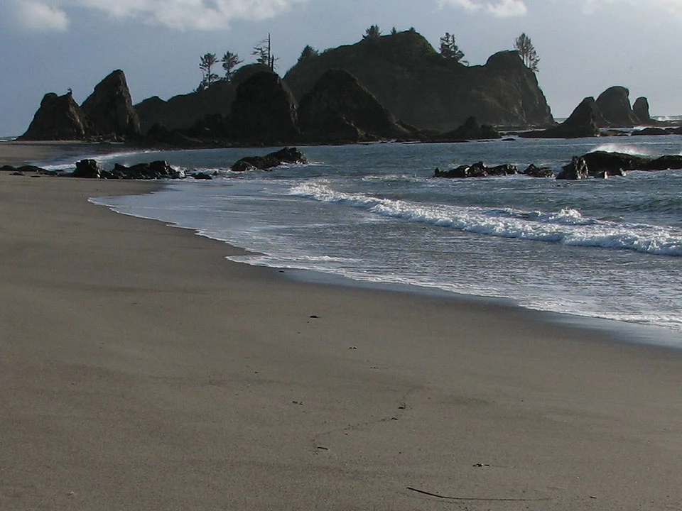 Toleak Point in Olympic National Park. Waves wash up on a sandy ocean beach. Rocky headlands rise above the far end of the beach.