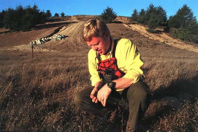 A man dressed in a yellow shirt crouches down to inspect some dried vegetation.
