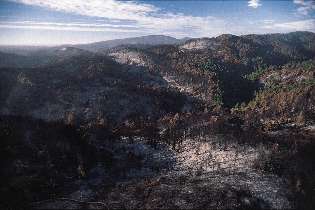 A view looking out across burnt hillsides and valleys of what had been dense forests.